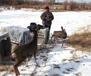 DaytonValleyWildlifeReststop release