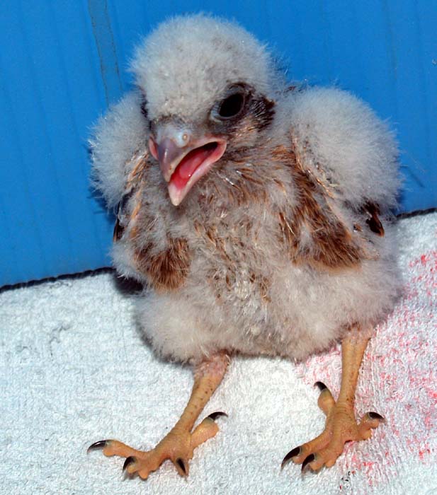 It’s the Season….