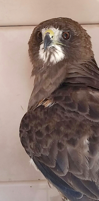 Success On So Many Levels!!