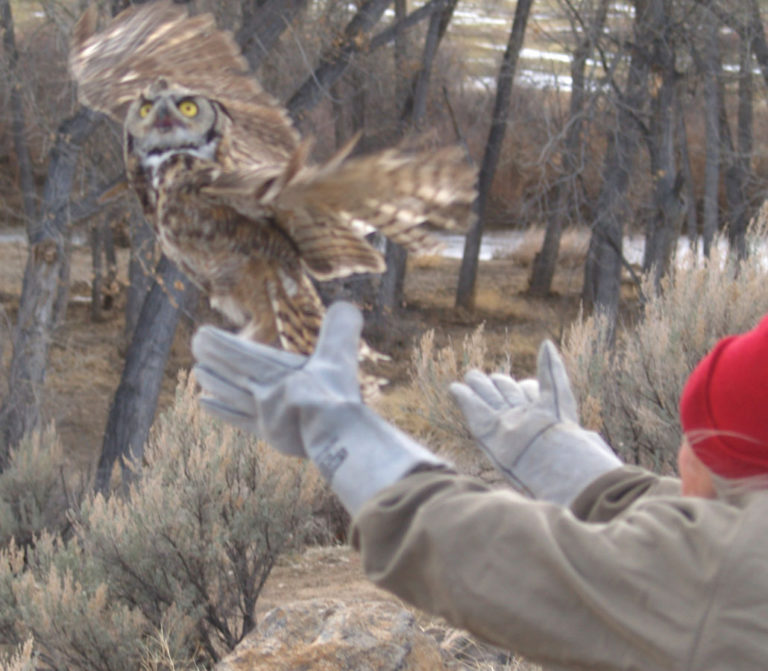 It’s Getting Busy……