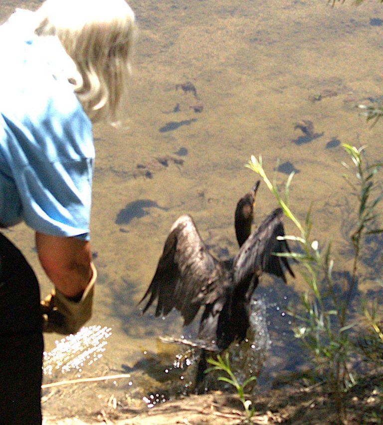 Back in the water after a painful situation.